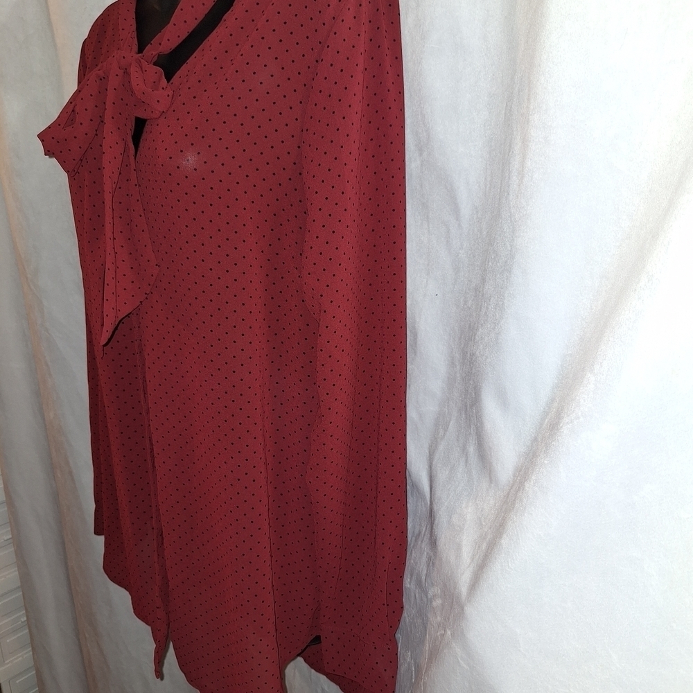 Red Notched Collar Blouse - Picture 5 of 8